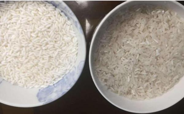 粳米和糯米的区别图片