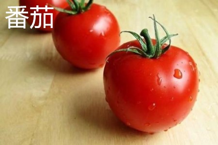 树番茄和番茄的区别图片