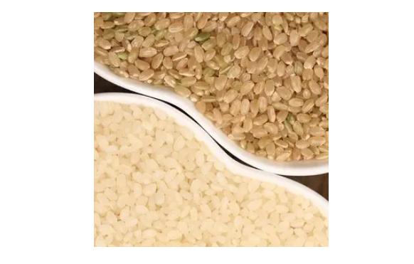 粳米和糙米是一种米吗