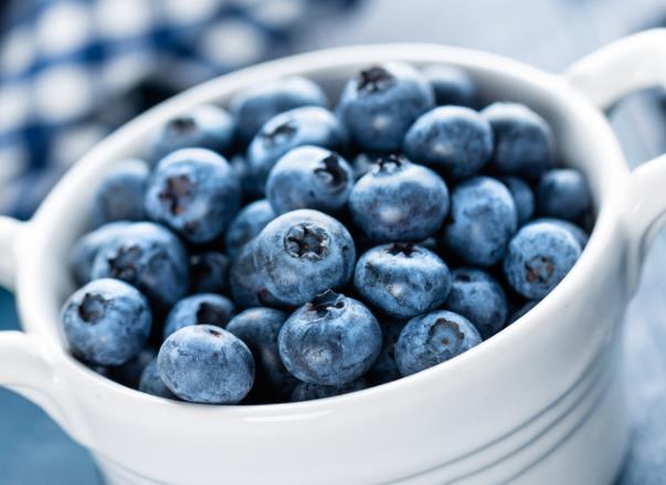 蓝莓冷冻能保存多久低温抑制细菌及微生物滋生(蓝莓放冷冻保存营养价值会流失吗)