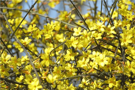 踏春必备！带着这份花名册出发吧！(2020花名册格式范本模板)