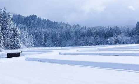 2021年11月武汉下雪吗